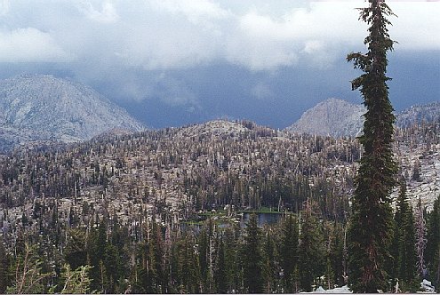 beforestorm.jpg (62118 bytes)